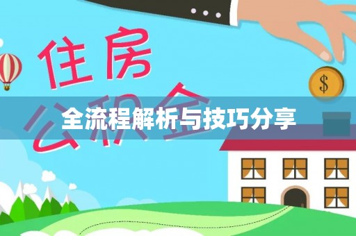 解放全流程解析与技巧分享